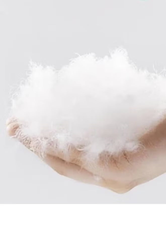 أسرار 6 قطع | حشوة مخده من المايكروفايبر - أبيض - 50x30 سم - Image 3